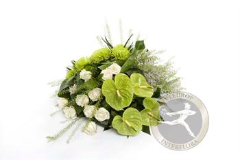 Anthurium biedermeier