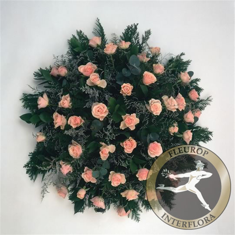 Bied. rose roos