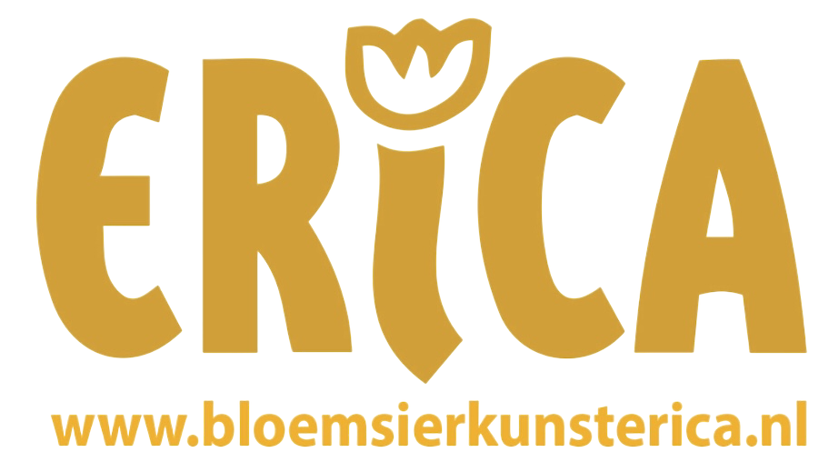 Naar de startpagina
